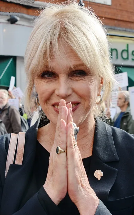 Joanna Lumley 2014